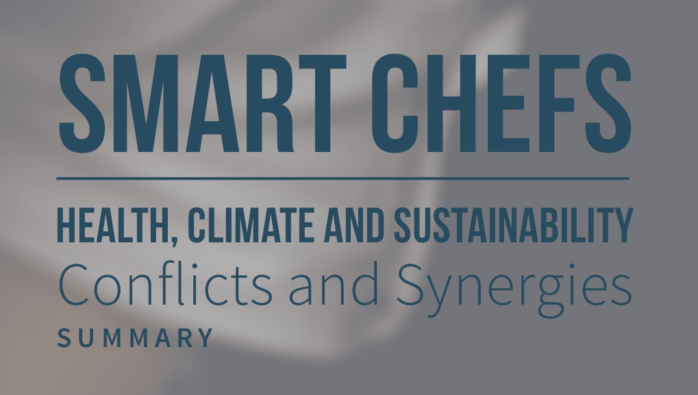 Publication Eaternity Summary pub